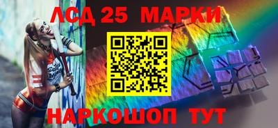 шишки Боровичи