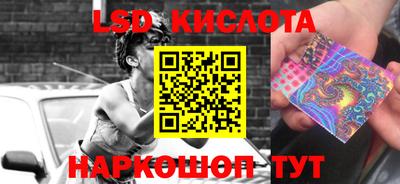 шишки Боровичи