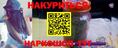 шишки Боровичи