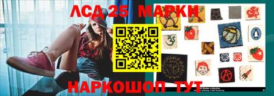 шишки Боровичи