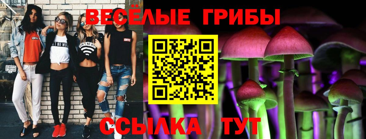Галлюциногенные грибы Psilocybine cubensis  Вход с VPN  Елизово 